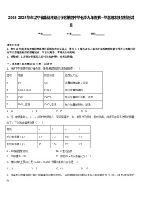 2023-2024学年辽宁省盘锦市双台子区第四中学化学九年级第一学期期末质量检测试题含答案