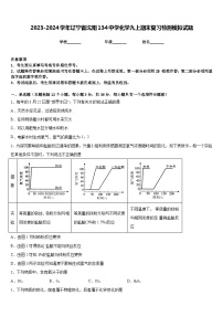2023-2024学年辽宁省沈阳134中学化学九上期末复习检测模拟试题含答案