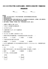 2023-2024学年辽宁营口大石桥市水源镇九一贯制学校九年级化学第一学期期末质量跟踪监视试题含答案