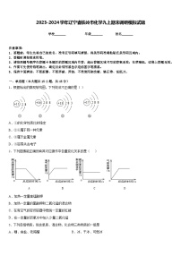 2023-2024学年辽宁省铁岭市化学九上期末调研模拟试题含答案