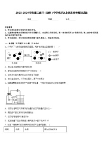 2023-2024学年重庆南开（融侨）中学化学九上期末统考模拟试题含答案