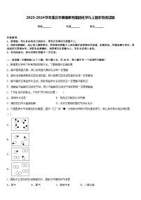 2023-2024学年重庆市兼善教育集团化学九上期末检测试题含答案