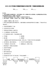 2023-2024学年重庆市兼善教育集团九年级化学第一学期期末调研模拟试题含答案