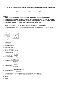 2023-2024学年重庆市万州第二高级中学九年级化学第一学期期末联考试题含答案