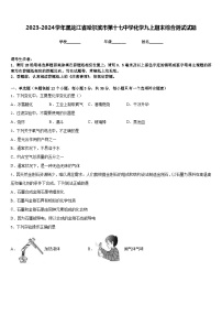 2023-2024学年黑龙江省哈尔滨市第十七中学化学九上期末综合测试试题含答案