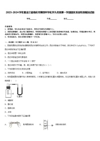 2023-2024学年黑龙江省海伦市第四中学化学九年级第一学期期末质量检测模拟试题含答案