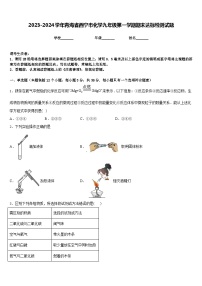 2023-2024学年青海省西宁市化学九年级第一学期期末达标检测试题含答案