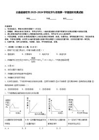 云南省德宏市2023-2024学年化学九年级第一学期期末经典试题含答案