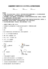 云南省昆明市八校联考2023-2024学年九上化学期末检测试题含答案