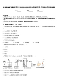 云南省曲靖市麒麟区第十中学2023-2024学年九年级化学第一学期期末统考模拟试题含答案