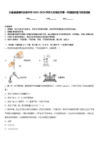 云南省曲靖市实验中学2023-2024学年九年级化学第一学期期末复习检测试题含答案