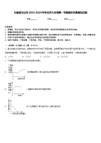 云南省文山市2023-2024学年化学九年级第一学期期末经典模拟试题含答案