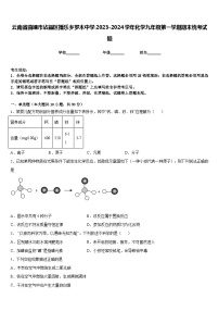 云南省曲靖市沾益区播乐乡罗木中学2023-2024学年化学九年级第一学期期末统考试题含答案