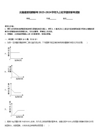 云南省双柏县联考2023-2024学年九上化学期末联考试题含答案