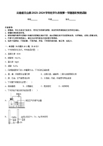 云南省文山县2023-2024学年化学九年级第一学期期末预测试题含答案