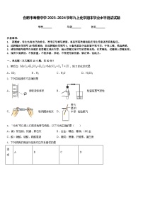 合肥市寿春中学2023-2024学年九上化学期末学业水平测试试题含答案