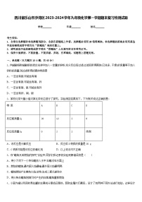 四川省乐山市沙湾区2023-2024学年九年级化学第一学期期末复习检测试题含答案