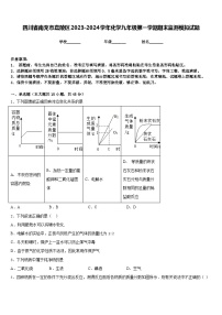 四川省南充市嘉陵区2023-2024学年化学九年级第一学期期末监测模拟试题含答案