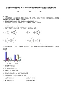 四川省内江市球溪中学2023-2024学年化学九年级第一学期期末经典模拟试题含答案