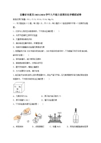 安徽省合肥市2023-2024学年九年级上册期末化学检测试卷（附答案）