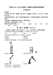 陕西省榆林市子洲县2023-2024学年九年级上学期1月期末化学试题