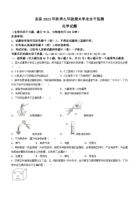 重庆市忠县2023-2024学年九年级上学期期末学业水平监测化学试题