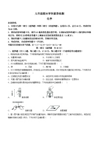 陕西省延安市富县2023-2024学年九年级上学期期末考试化学试题