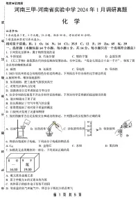 2023-2024学年河南省实验中学九年级上学期1月份测试化学试题及答案