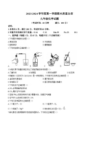 广东省东莞市2023-2024学年九年级上学期1月期末化学试题