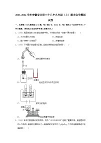 安徽省合肥三十八中2023-2024学年九年级上学期期末模拟化学试卷