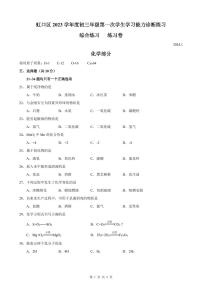 2024年上海市虹口区中考化学一模试卷含答案