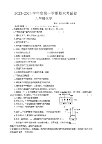 河南省周口市沈丘县等几校2023-2024学年九年级上学期1月期末化学试题