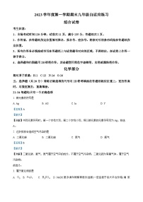 上海普陀区2023—2024学年上学期期末九年级自适应练习化学 综合试卷
