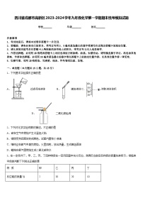 四川省成都市高新区2023-2024学年九年级化学第一学期期末统考模拟试题含答案