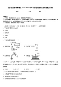 四川省成都市郫都区2023-2024学年九上化学期末达标检测模拟试题含答案