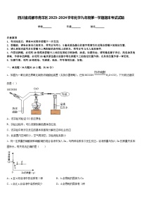 四川省成都市青羊区2023-2024学年化学九年级第一学期期末考试试题含答案