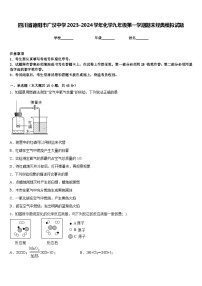 四川省德阳市广汉中学2023-2024学年化学九年级第一学期期末经典模拟试题含答案