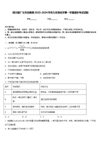 四川省广元市剑阁县2023-2024学年九年级化学第一学期期末考试试题含答案