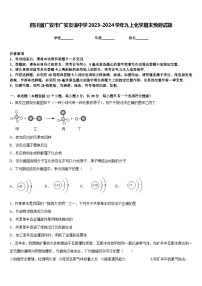 四川省广安市广安友谊中学2023-2024学年九上化学期末预测试题含答案