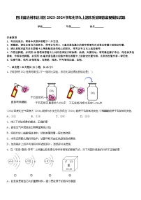 四川省达州市达川区2023-2024学年化学九上期末质量跟踪监视模拟试题含答案