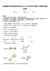 四川省眉山市东坡区东坡区东坡中学2023-2024学年化学九年级第一学期期末检测模拟试题含答案