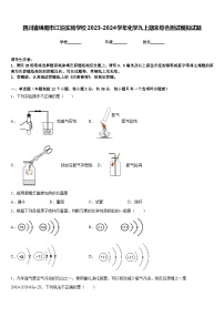 四川省绵阳市江油实验学校2023-2024学年化学九上期末综合测试模拟试题含答案