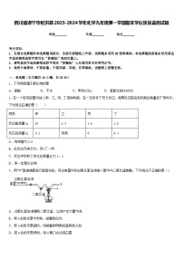 四川省遂宁市射洪县2023-2024学年化学九年级第一学期期末学业质量监测试题含答案