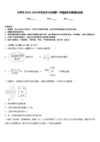 天津市2023-2024学年化学九年级第一学期期末经典模拟试题含答案