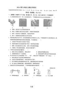 四川省成都市第七中学初中学校2023-2024学年九年级上学期1月期末化学试题