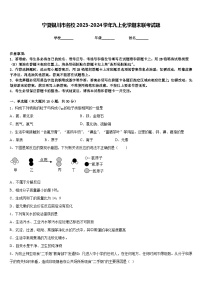 宁夏银川市名校2023-2024学年九上化学期末联考试题含答案