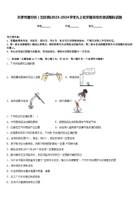 天津市部分区（五区县)2023-2024学年九上化学期末综合测试模拟试题含答案