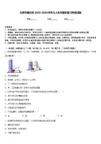 天津市部分区2023-2024学年九上化学期末复习检测试题含答案