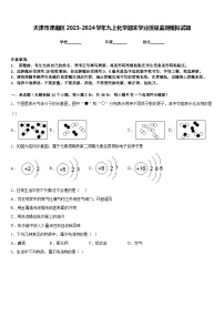 天津市津南区2023-2024学年九上化学期末学业质量监测模拟试题含答案