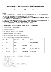 天津市和平区第二十中学2023-2024学年九上化学期末检测模拟试题含答案